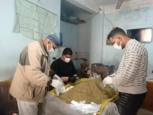 صرف أسمدة الموسم الصيفي عبر "كارت الفلاح" إلكترونياً