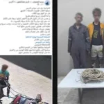 ضبط تشكيل عصابي لسرقة كابلات الكهرباء في السويس