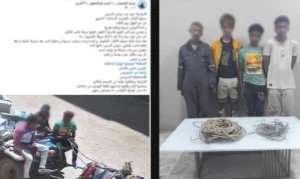 ضبط تشكيل عصابي لسرقة كابلات الكهرباء في السويس