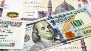 أسعار الدولار أمام الجنيه المصري اليوم 11 مايو 2026