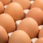 استمرار تسويق البيض والدواجن بأسعار مخفضة