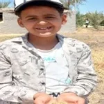حصاد 270 ألف فدان من القمح في الشرقية