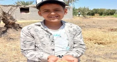 حصاد 270 ألف فدان من القمح في الشرقية