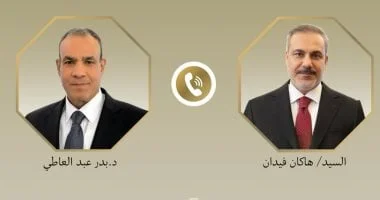 وزير الخارجية يبحث خفض التصعيد مع نظيره التركي