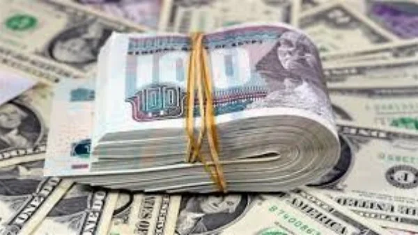 تباين أسعار الدولار مقابل الجنيه المصري اليوم