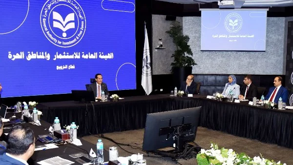 تطوير استراتيجيات الاستثمار في مصر