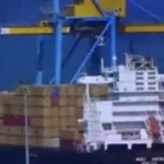 فتح السوق العراقي أمام صادرات بيض المائدة المصري