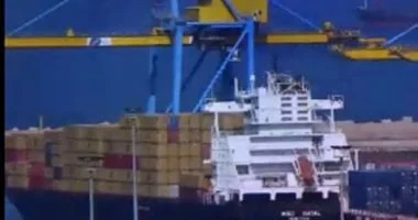 فتح السوق العراقي أمام صادرات بيض المائدة المصري