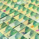 ضبط صاحب مخبز يستخدم 410 بطاقات تموينية للاستيلاء على الدعم