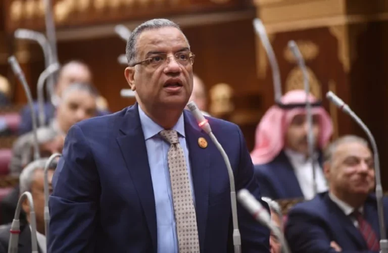 المدارس اليابانية والجهود التعليمية في مصر