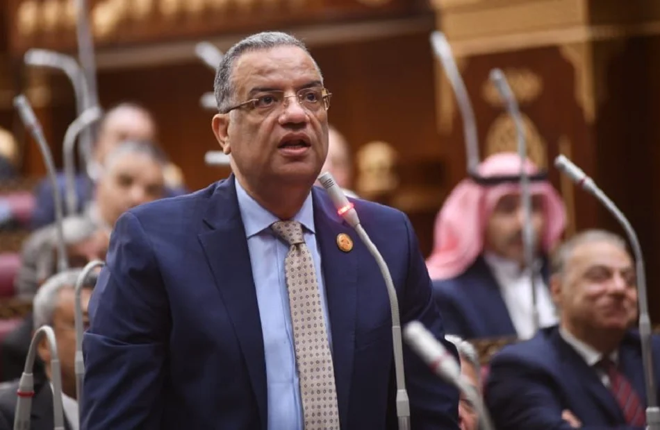 المدارس اليابانية والجهود التعليمية في مصر