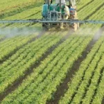 تعاقد “تنمية الريف المصري” مع “المقاولون العرب” على مشروع طريق استراتيجي