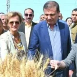 حصاد القمح في دمنهور: تعاون وزاري وأوروبي