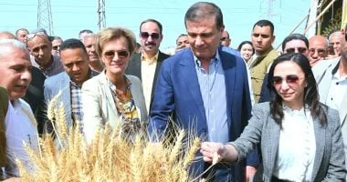 حصاد القمح في دمنهور: تعاون وزاري وأوروبي