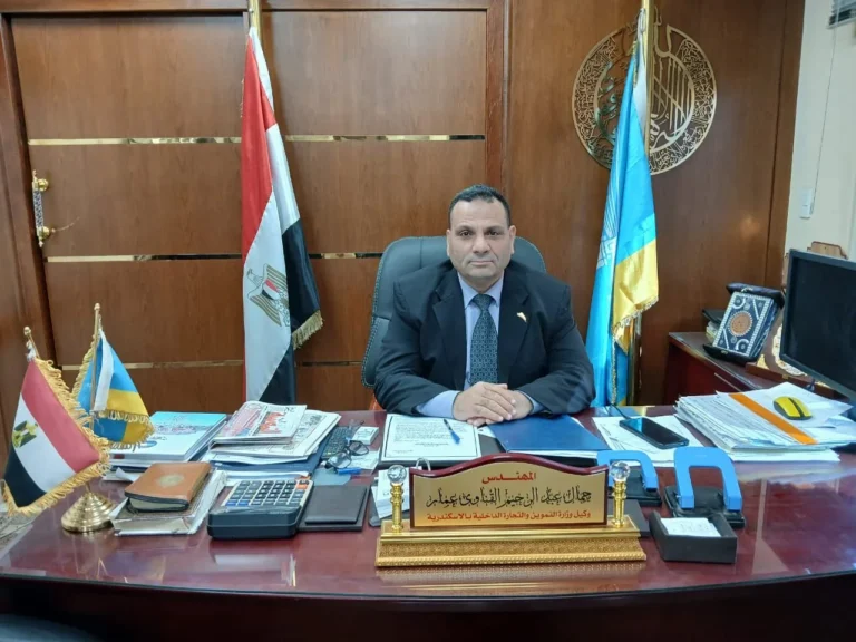 توريد 14 ألف طن من القمح المحلي بالإسكندرية