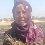 حريق محصول القمح في قرية النعامنة: تفاصيل صادمة