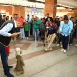عروض فنية مبهجة في مترو السيدة زينب