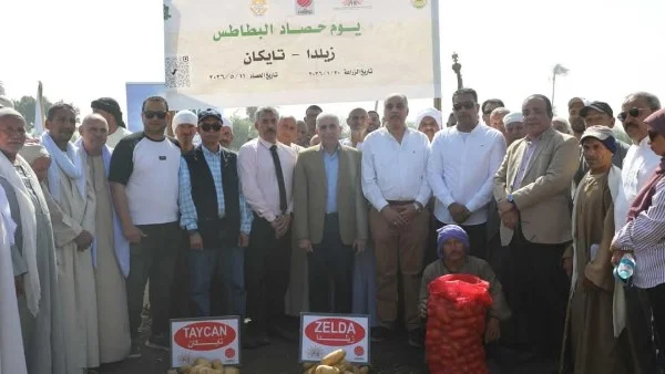 المنيا تصدر 44 ألف فدان من البطاطس لأكثر من 90 دولة