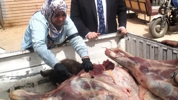 تكثيف الحملات التفتيشية على المجازر استعدادًا لعيد الأضحى