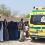 مصرع عامل أثناء دراس محصول القمح في المنوفية