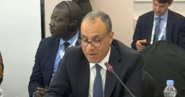 وزير الخارجية يلقي كلمة مصر في اجتماع إصلاح مجلس الأمن