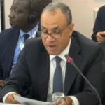 مصر تدعو لإصلاح مجلس الأمن وتمثيل دائم لأفريقيا