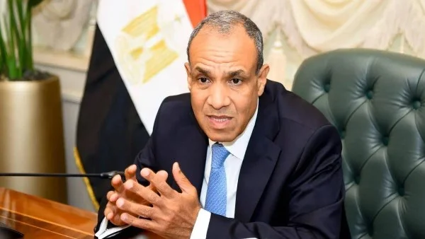 دعم مصر لإصلاح مجلس الأمن الدولي
