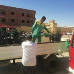 حملات إزالة الإشغالات في الإسكندرية تسفر عن نتائج ملحوظة