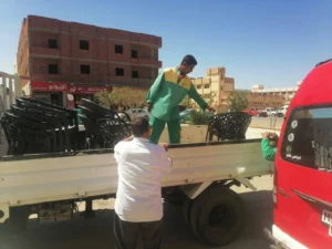 حملات إزالة الإشغالات في الإسكندرية تسفر عن نتائج ملحوظة