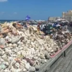 متعة زيارة بحري في الإسكندرية