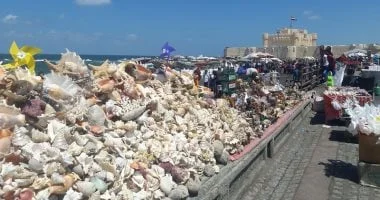 متعة زيارة بحري في الإسكندرية