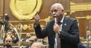 أزمة قصر ثقافة طنطا وسبل حلها