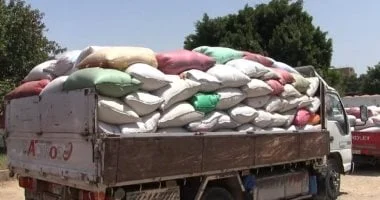 سوهاج: توريد 57 ألف طن قمح وتجهيز مواقع تخزينية جديدة