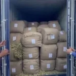 السيطرة الأمنية على المنافذ الجمركية خلال 48 ساعة