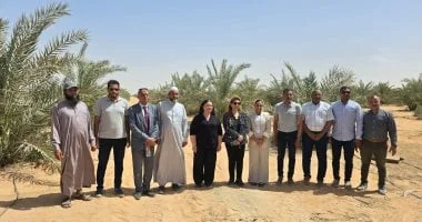 دعم الأسر وكفالة الأيتام في الوادي الجديد
