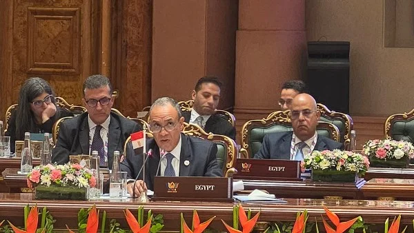 مصر تدعو لإنشاء مركز لوجستي للحبوب في شرق بورسعيد