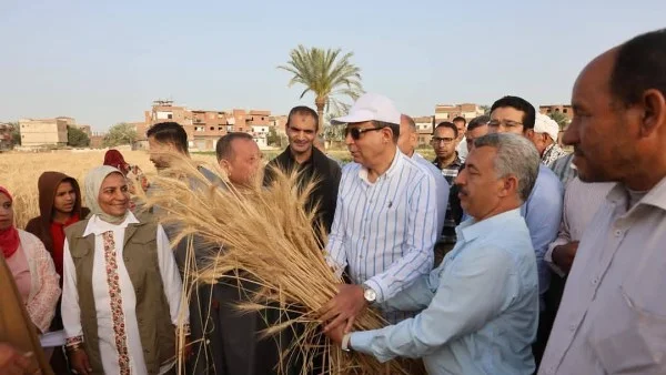 توريد 114 ألف طن قمح في الغربية