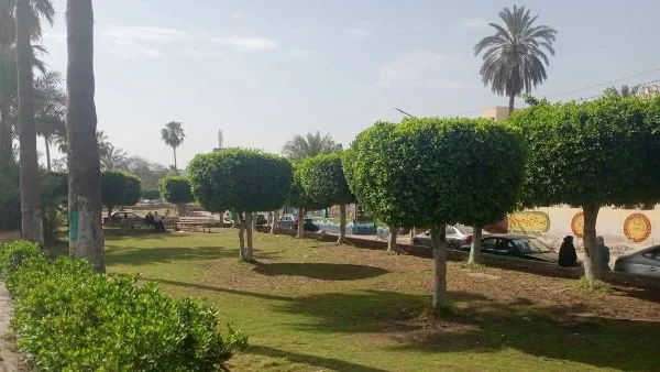 تعزيز المسطحات الخضراء والنظافة في كفر الشيخ