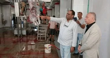 تشغيل مجزر نصف آلي في الخارجة لتحسين جودة اللحوم