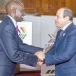 القاهرة تستعيد ريادتها في قضايا إفريقيا