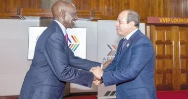 القاهرة تستعيد ريادتها في قضايا إفريقيا