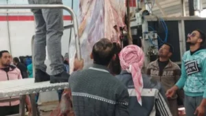 تشغيل تجريبي لمجزر نصف آلي في الوادي الجديد