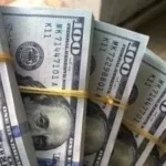 استقرار سعر الدولار مقابل الجنيه المصري في التعاملات