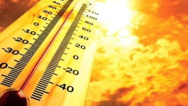 موجة حارة تضرب مصر الأسبوع المقبل