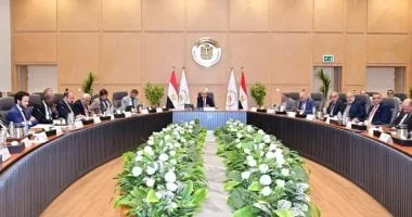 وزير الري يجتمع بشركاء التنمية في القاهرة