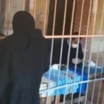 موعد زيادة معاشات يوليو 2026