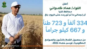 334 ألف طن من القمح تم توريدها في المنيا