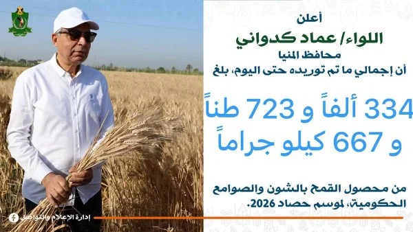 334 ألف طن من القمح تم توريدها في المنيا