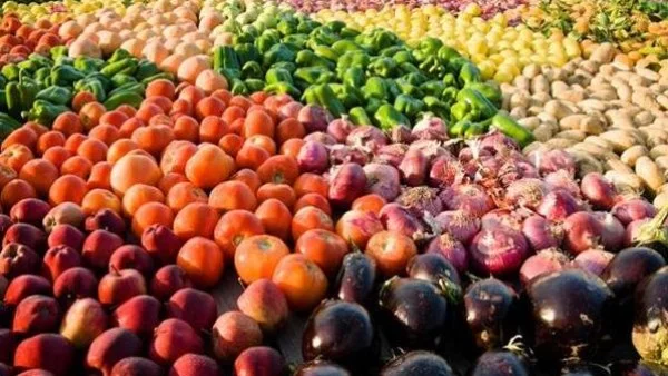 زيادة صادرات مصر الزراعية: نجاحات وتحسينات متواصلة