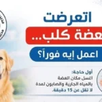 22 مركزًا في قنا للوقاية من السعار وتلقي المصل